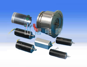 Military brushless motor